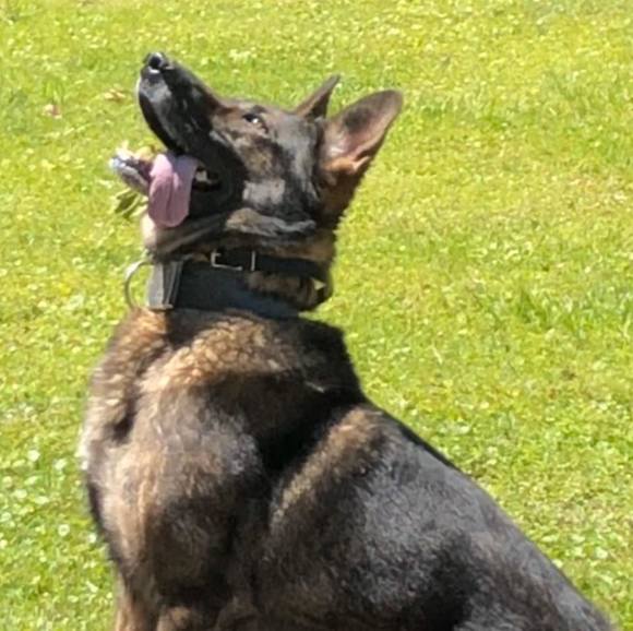 Meet your Posher, Jeremyray - Picture 1 of 1